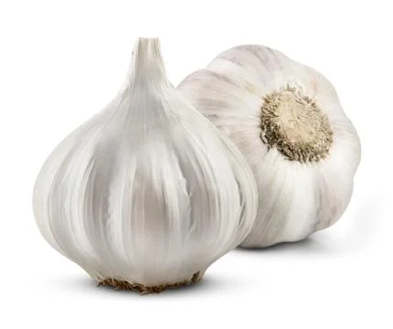 Garlic isolated Stock Photos