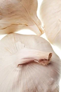 Garlic isolated Stock Photos