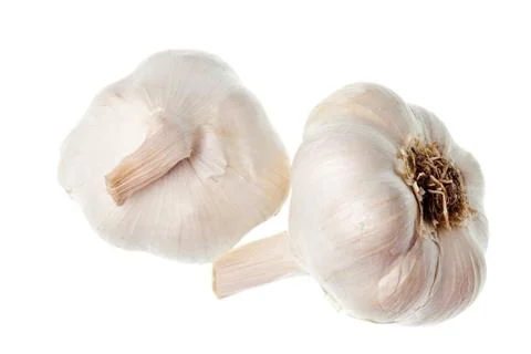 Garlic isolated Stock Photos