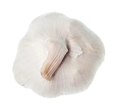 Garlic isolated Stock Photos