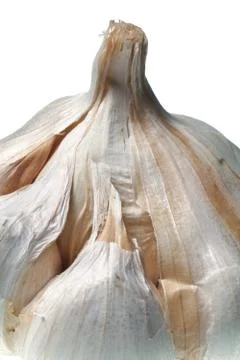 Garlic isolated Stock Photos