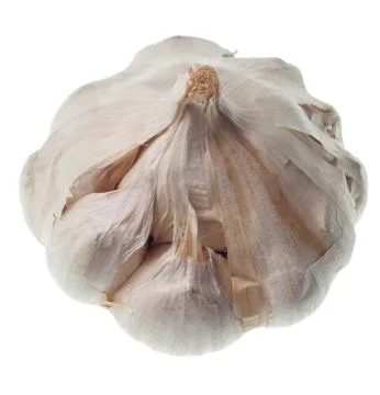 Garlic isolated Foto stock