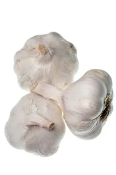 Garlic isolated Stock Photos