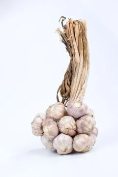 Garlic on isolated Stock Photos