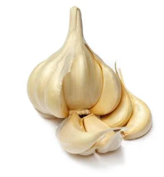 Garlic isolated Stock Photos