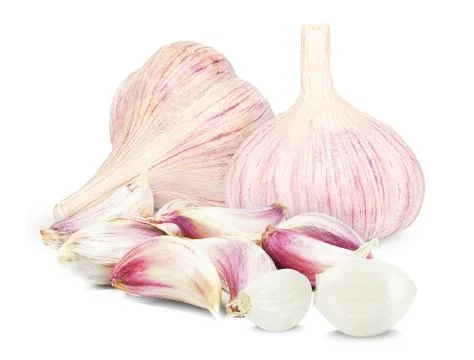 Garlic isolated Stock Photos