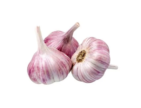 Garlic isolated Stock Photos