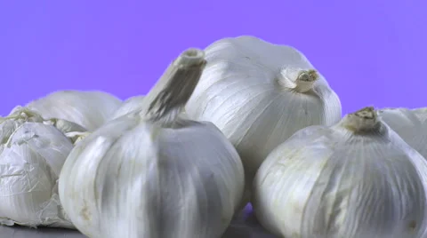 Garlic isolated rotating on purple background 库存影片 62333607