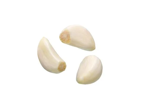 Garlic isolated set. Stock Photos
