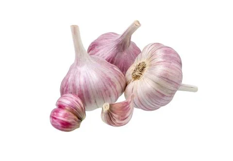 Garlic isolated set. Stock Photos