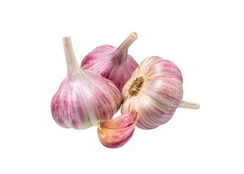 Garlic isolated set. Foto stock