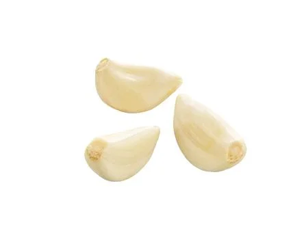Garlic isolated set. Stock Photos