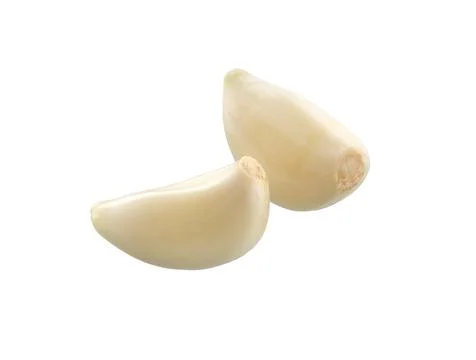 Garlic isolated set. Stock Photos