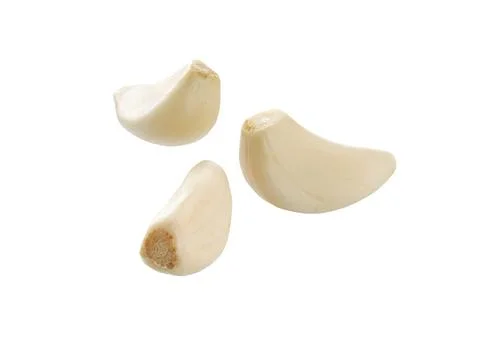 Garlic isolated set. Stock Photos