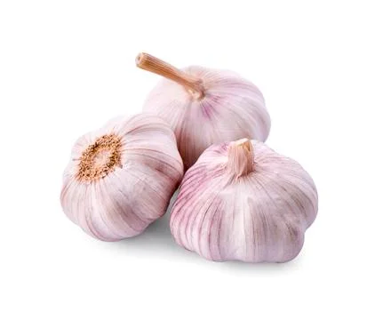 Garlic isolated on white background - Image Stock Photos