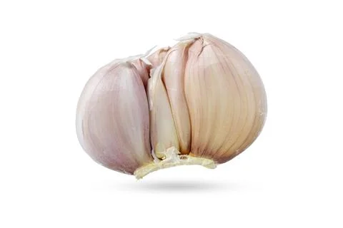 Garlic isolated on white background include clipping path desing Stock Photos