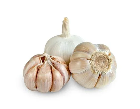 Garlic isolated on white background ,include clipping path Stock Photos