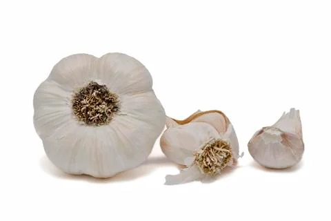 Garlic isolated on a white background. Stock Photos