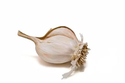 Garlic isolated on a white background. Stock Photos