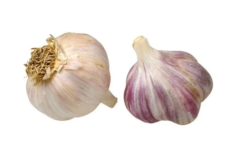 Garlic isolated on white background Stock Photos