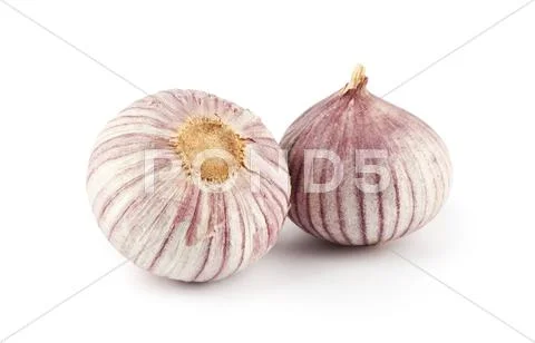 Garlic isolated on white background Stock Photos