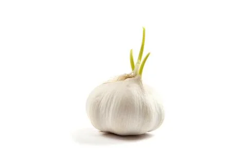 Garlic isolated on white background Stock Photos