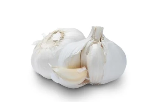 Garlic isolated on white background Stock Photos