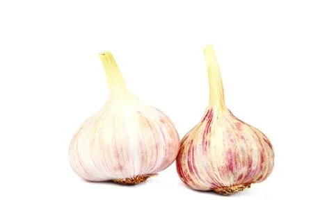 Garlic isolated on white background. Stock Photos