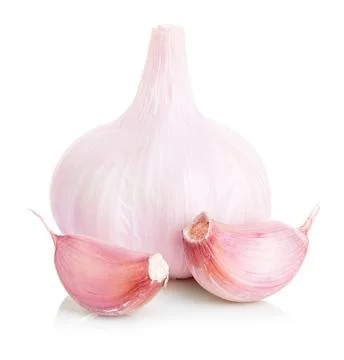 Garlic isolated on white background Stock Photos