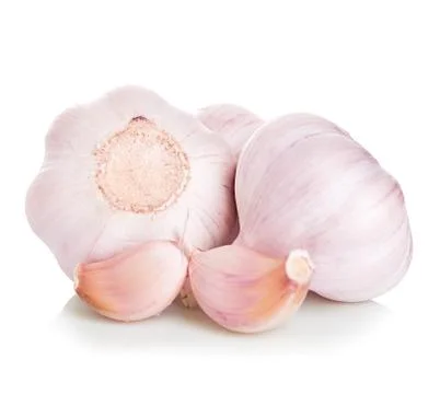Garlic isolated on white background Stock Photos