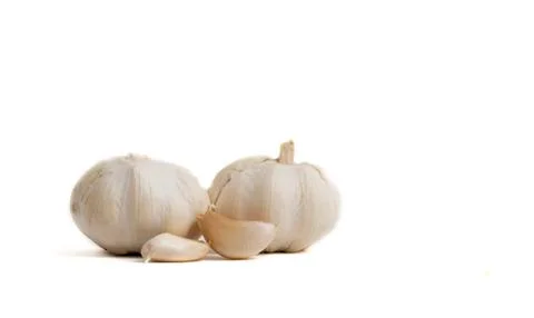 Garlic isolated on white background Stock Photos