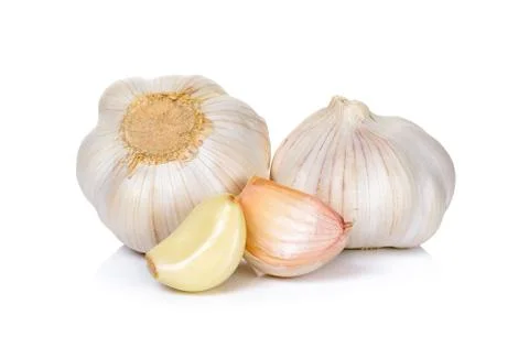 Garlic isolated on the white background Stock Photos