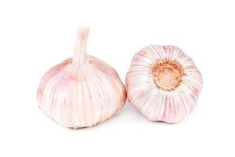 Garlic isolated on white background Stock Photos