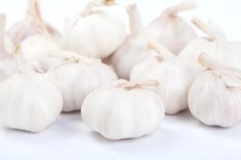 Garlic isolated on white background Stock Photos