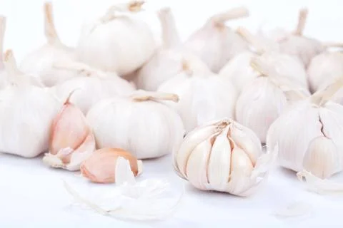 Garlic isolated on white background Stock Photos