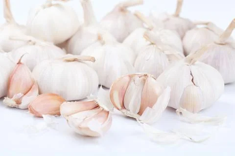 Garlic isolated on white background Stock Photos