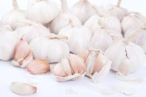 Garlic isolated on white background Stock Photos