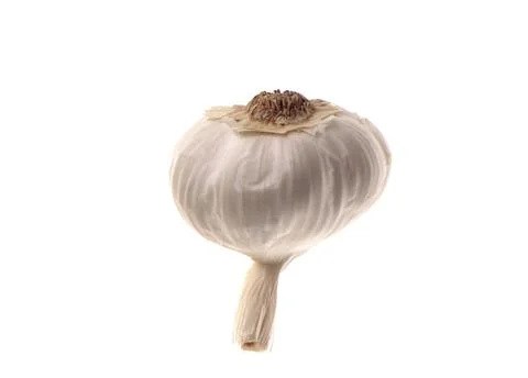 Garlic isolated on white background. Stock Photos