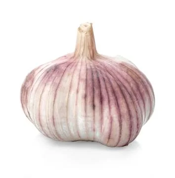 Garlic isolated on white background. Stock Photos