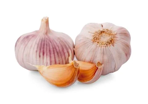 Garlic isolated on white background Stock Photos
