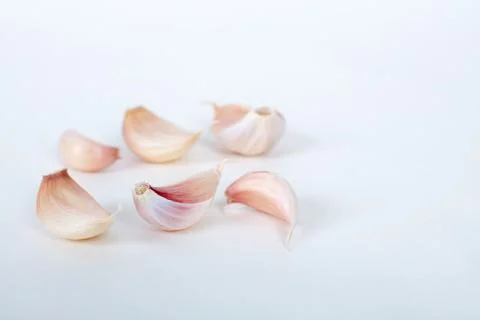 Garlic isolated on white background Stock Photos