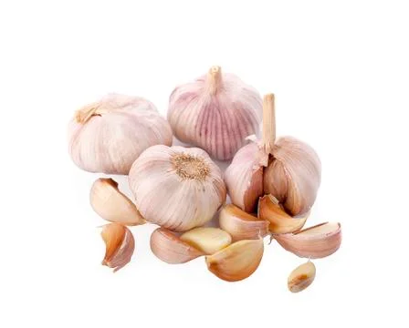Garlic isolated on white background Stock Photos