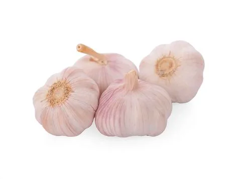 Garlic isolated on white background Stock Photos