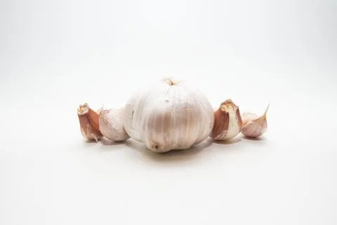 Garlic isolated on white background Stock Photos