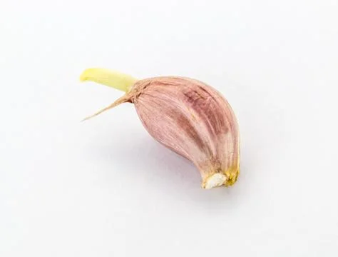 Garlic isolated on white background Stock Photos