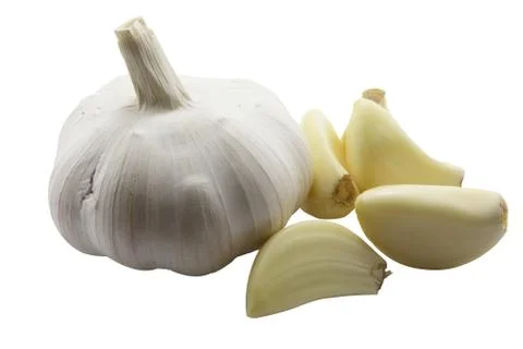 Garlic isolated on white background Stock Photos