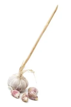 Garlic isolated on white background. 스톡 사진