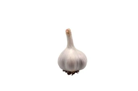 Garlic isolated on white background Stock Photos
