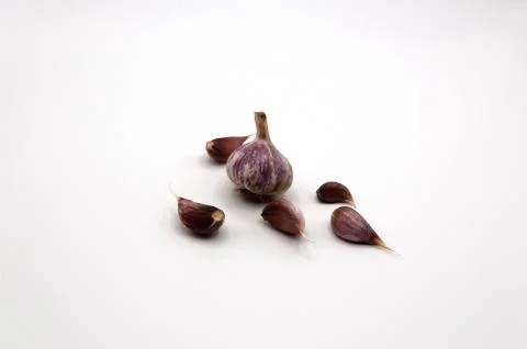 Garlic isolated on white background Stock Photos