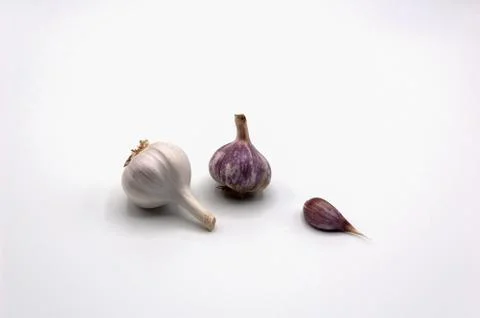 Garlic isolated on white background Stock Photos